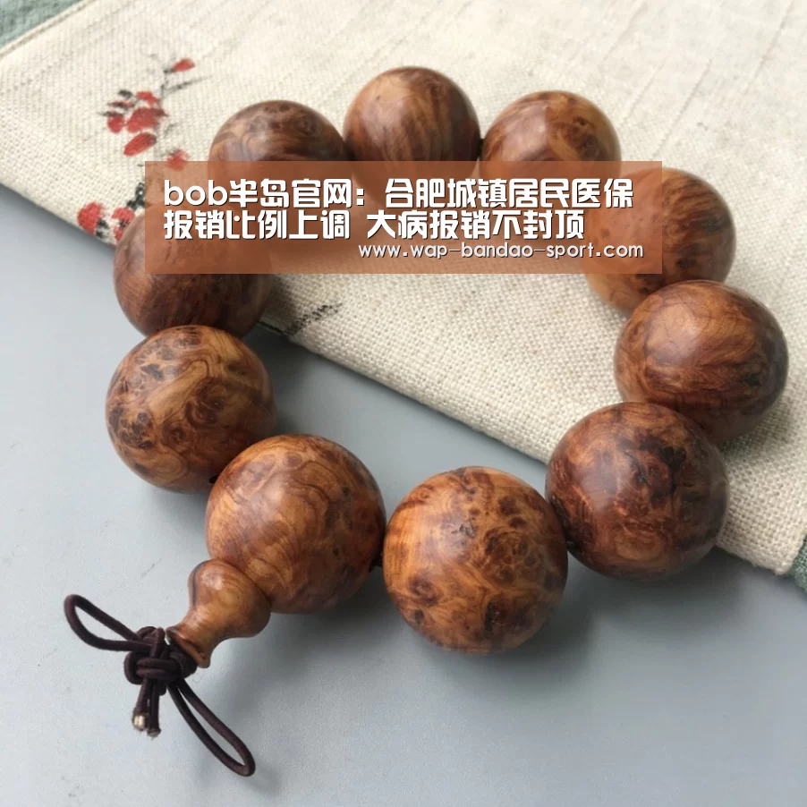 bob半岛官网:合肥城镇居民医保报销比例上调 大病报销不封顶