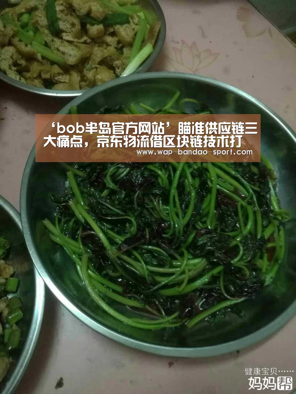 半岛bob官网