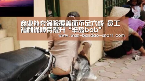 bob半岛官方网站