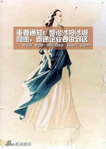重要通知!整治涉枪涉爆隐患,寄递企业要做到这几点“bob半岛体育”(图2) 半岛bob
