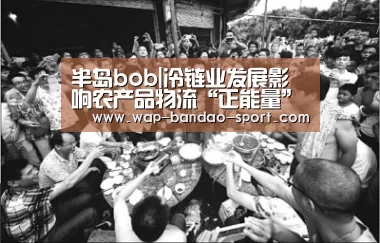 bob半岛官方网站