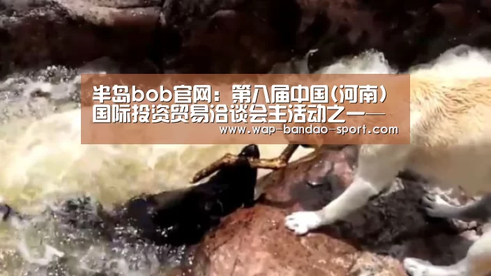 半岛bob官网:第八届中国(河南)国际投资贸易洽谈会主活动之一—郑州航空港经济综合实验区重大招商项目对接活动与签约仪式在郑举行(图4) 半岛bob